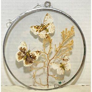 Vintage Round Pressed Butterfly & Fern Wall Hanging Glass Art signed